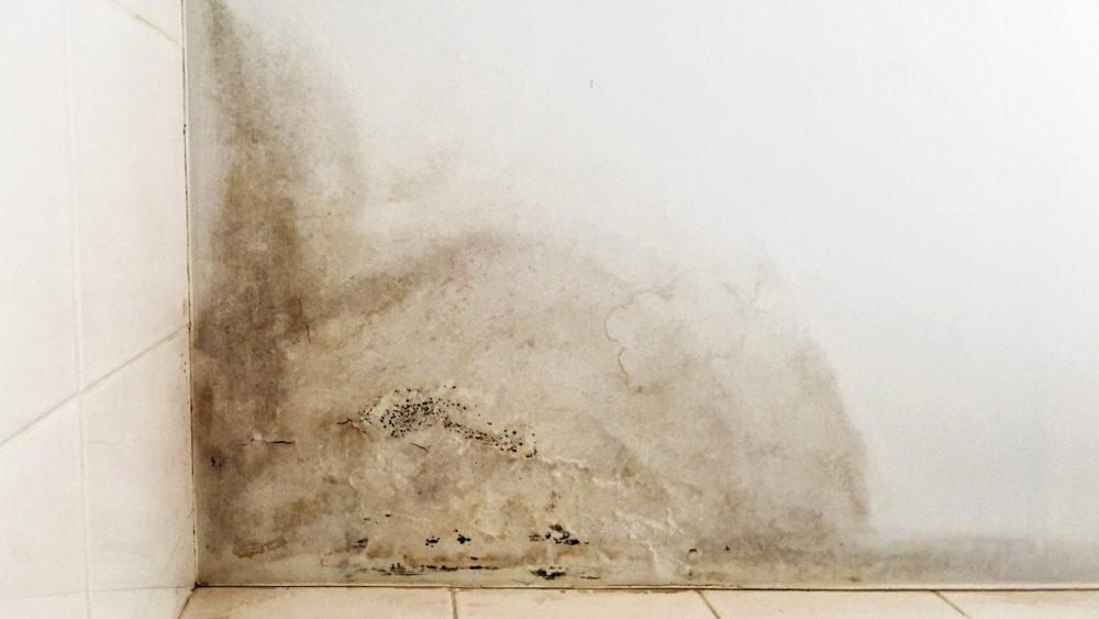 humedades en edificios