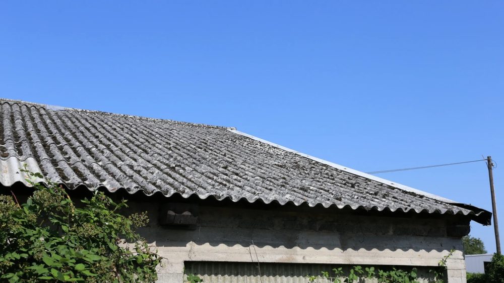 Loga Rehabilitaciones